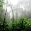 Biodiversidade e Ecossistemas