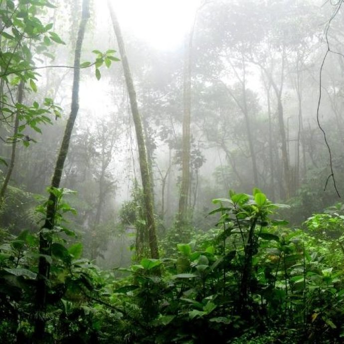 Biodiversidade e Ecossistemas