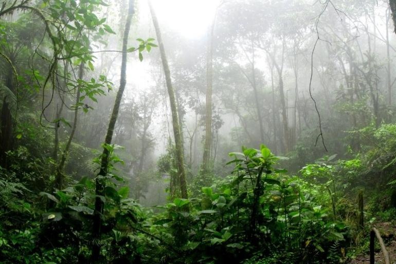 Biodiversidade e Ecossistemas
