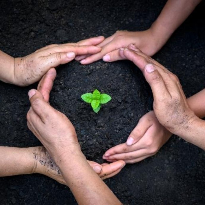 Dia Mundial do Ambiente: sustentabilidade empresarial já não é uma opção