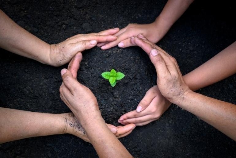 Dia Mundial do Ambiente: sustentabilidade empresarial já não é uma opção