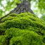 ISO 14001:2026