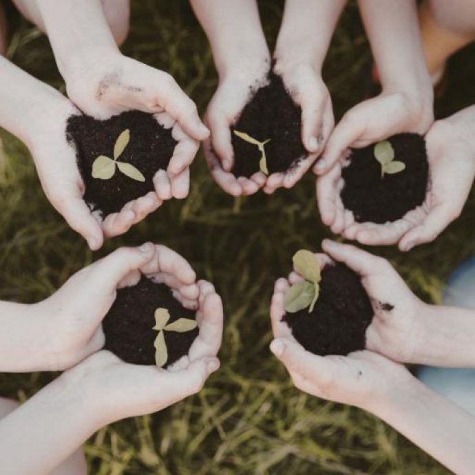 Cultivar Juntos