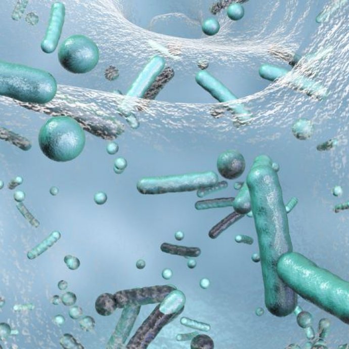 Legionella em Sistemas de Água – Medidas de Prevenção e Proteção