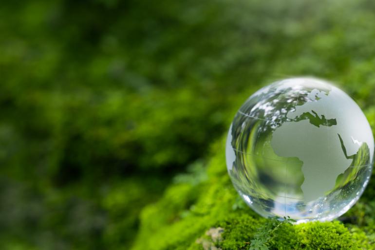 Formação em Percurso em Sustentabilidade