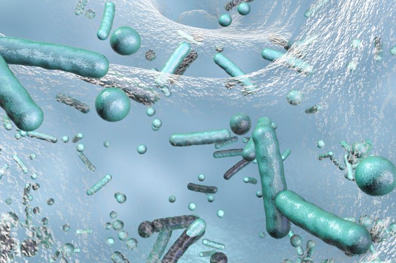 Legionella em Sistemas de Água – Medidas de Prevenção e Proteção